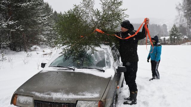 Мужчина закрепляет срубленную ель на крыше автомобиля в Свердловской области