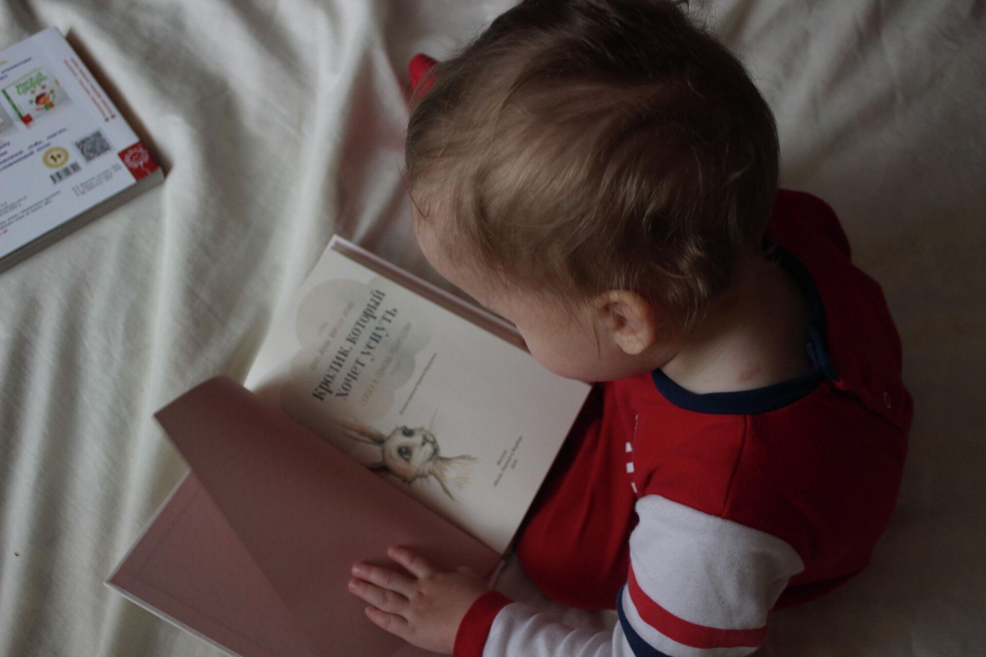Ребенок с книгой - rnews, 1920, 02.11.2022