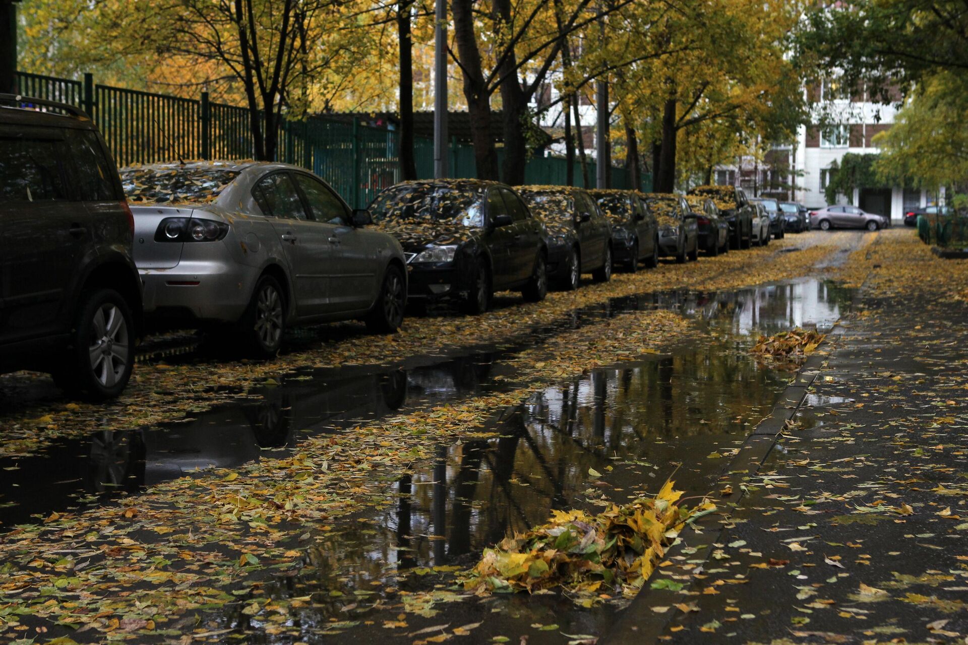 Автомобили на одной из улиц Москвы - rnews, 1920, 21.10.2022