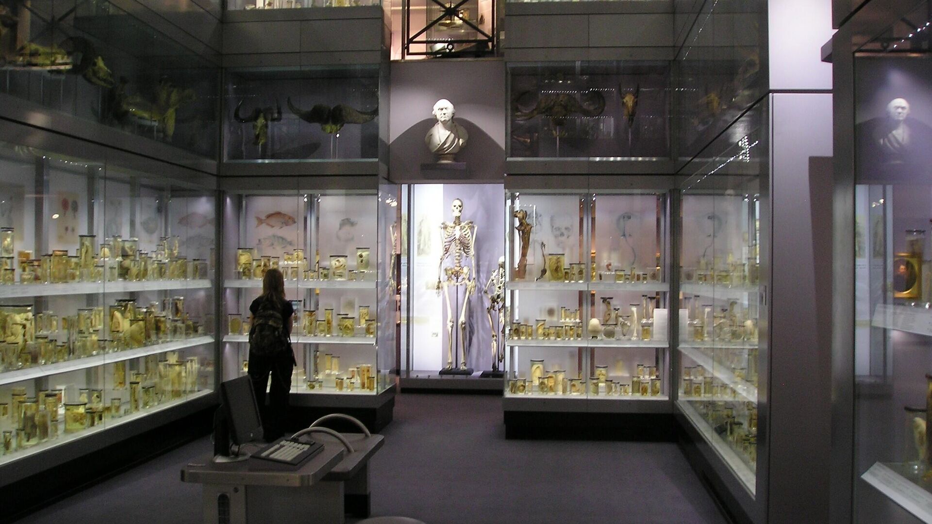 Скелет Чарльза Бирна, выставленный в Королевском колледже хирургов Англии в Лондоне  - rnews, 1920, 16.01.2023