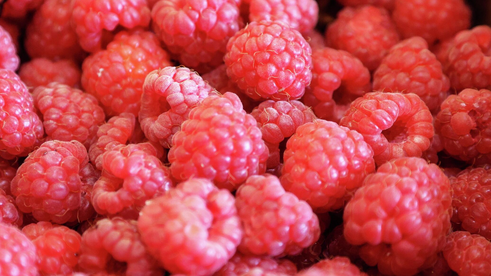 Малина это орех. Малина дельбар манифик. Malira. Ягода малина. Малина это орех.