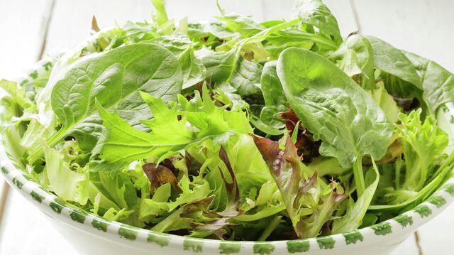 Листовой салат в тарелке
