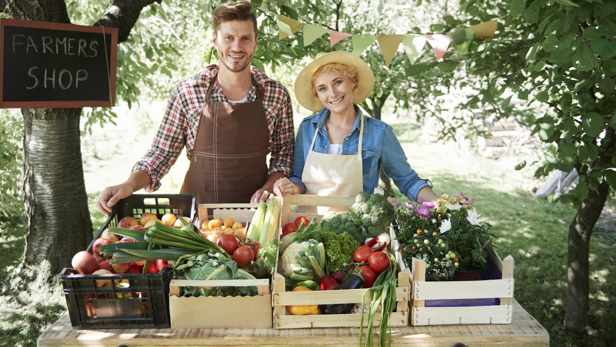 девушка с урожаем. богатый урожай богатый человек. богатый урожай богатый человек. богатый урожай богатый человек. фермер с корзиной овощей.