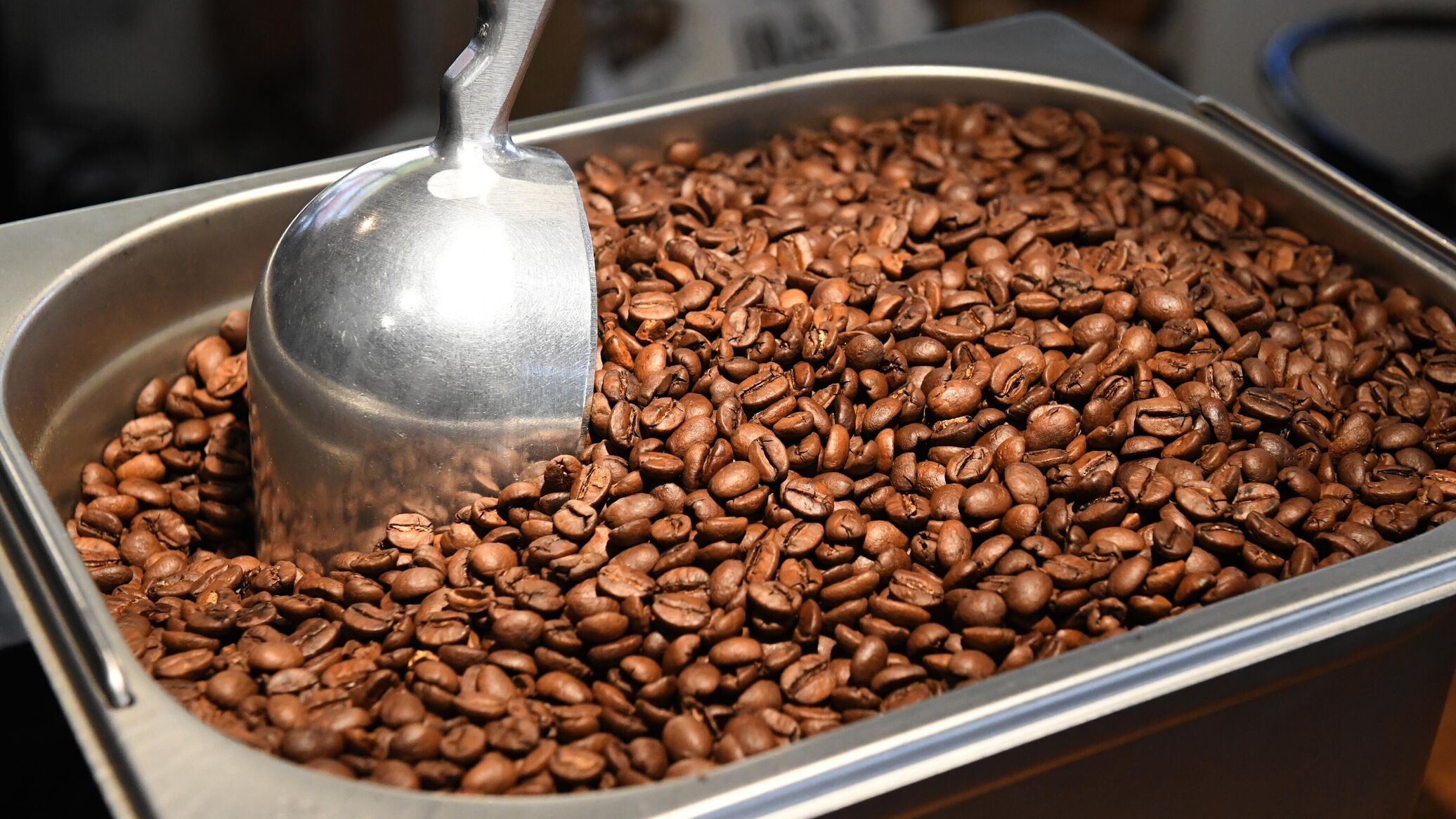 Изготовление кофе. Кофейное зерно не обжаренное. Ангола выпускает кофе. Кофейные вывезти. Эспрессо обжарка