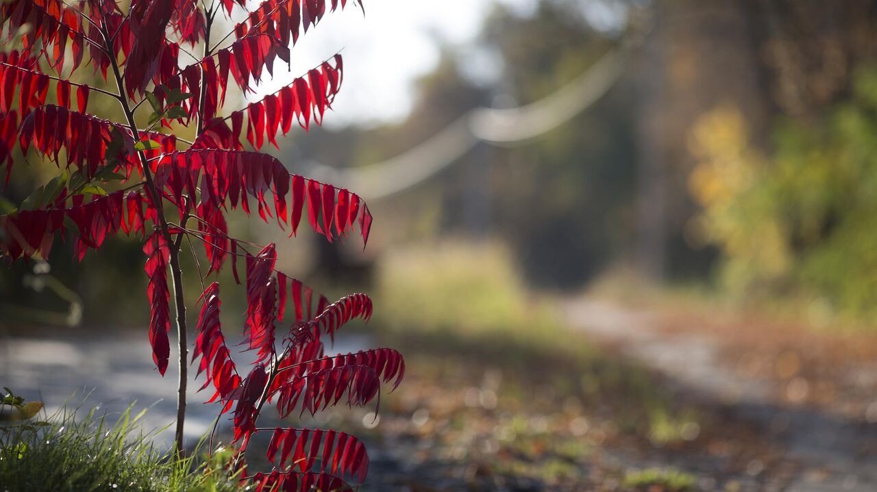 Наблюдение за месяцем для предсказания погоды