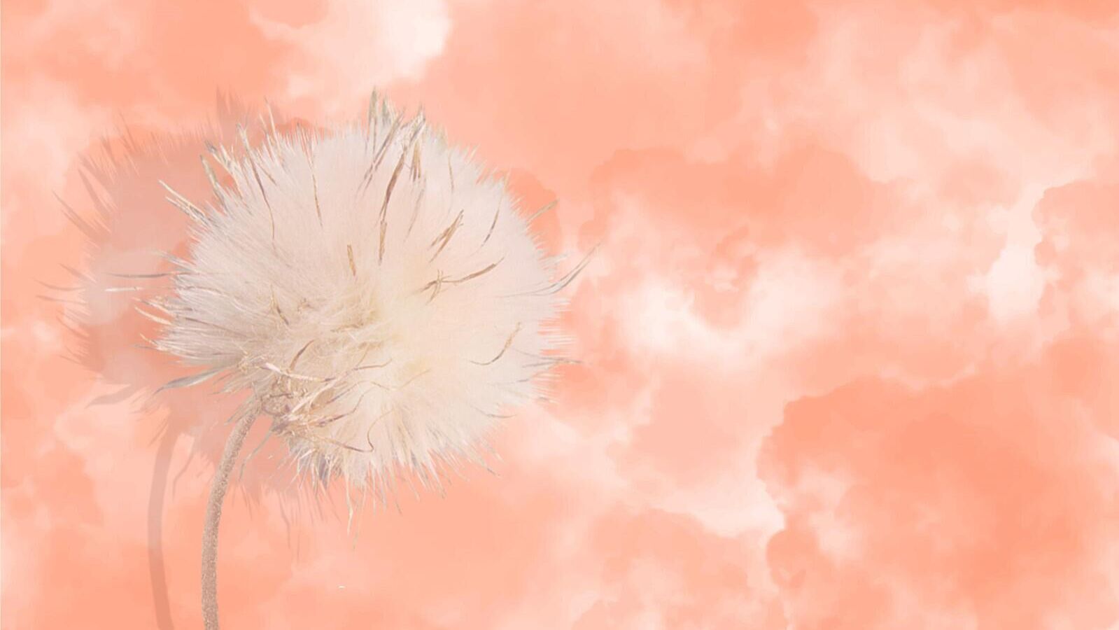 Цвет года 2024 персиковый пух. Цвет года 2024 персиковый пух. Цвет года 2024 персиковый пух. Цвет года 2024 персиковый пух. Цвет года 2024 персиковый пух.