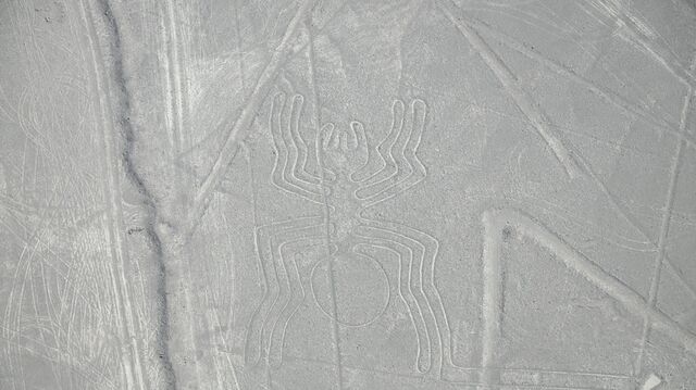 Котики и человечки: ученые обнаружили новые инопланетные рисунки в пустыне Наска