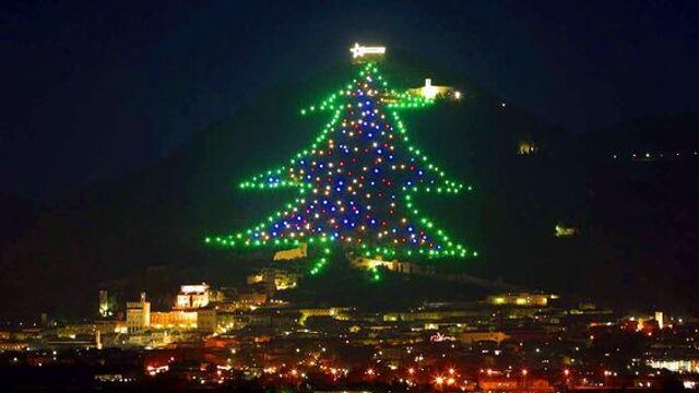 Новогодняя елка на склоне горы Инджино