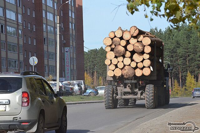 Нарушения в транспортировке лесоматериалов обнаружены на севере Свердловской области - Уральский меридиан, 05.02.2025