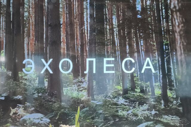 Тюменский застройщик «Север» представил первый проект в Екатеринбурге - Уральский меридиан, 04.07.2025