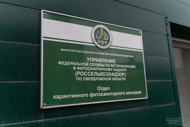 Предприниматель из Екатеринбурга продавала запрещённые семена в интернете - Уральский меридиан, 28.07.2025