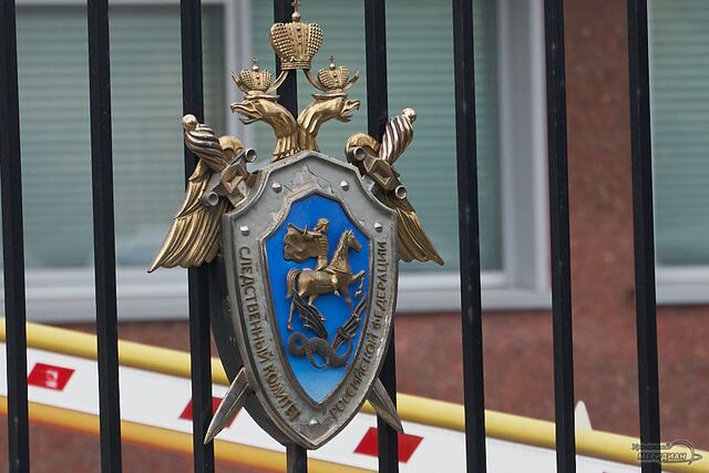 Глава СК РФ взял под контроль расследование дела о нападении на свердловчанина - Уральский меридиан, 17.08.2025