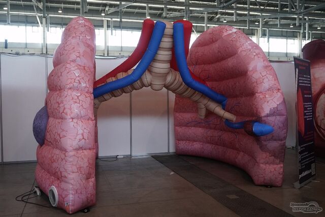 Диспансеризация выявила редкое кожное заболевание, сопутствующее раку лёгких - Уральский меридиан, 23.09.2025