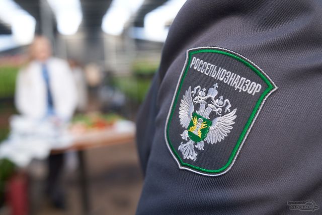 Уральский Россельхознадзор запретил вывоз пиломатериалов в Кыргызстан - Уральский меридиан, 09.09.2026