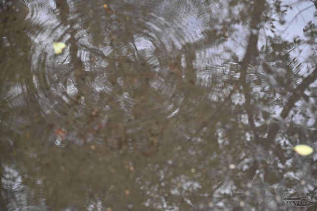 В Екатеринбурге затопило улицы из-за ливней - Уральский меридиан, 14.09.2026