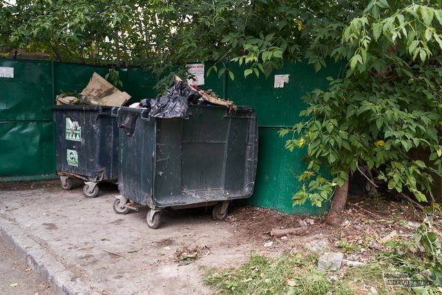 Екатеринбуржцы вычислили соседку, которая выкинула на помойку котёнка - Уральский меридиан, 21.09.2026