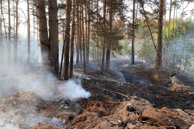 Ямал снова в дыму: в округ вернулись лесные пожары - Уральский меридиан, 21.09.2026