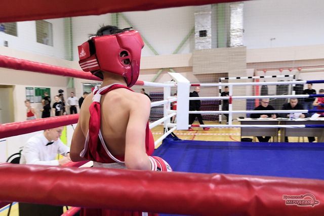Три спортсменки из Югры вышли на ринг чемпионата России по боксу Три спортсменки из Югры вышли на ринг чемпионата России по боксу - Уральский меридиан, 22.10.2026