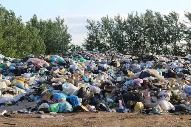 Сотрудник компании по вывозу мусора погиб на полигоне ТКО - Новости Уфы и Башкирии – UfacityNews.ru, 01.07.2025