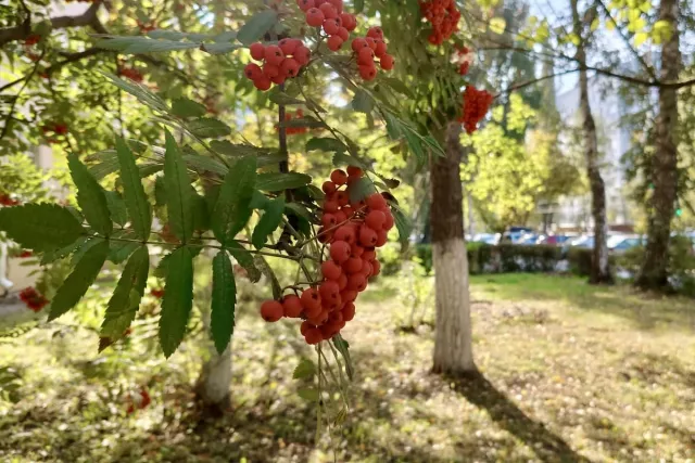 Уфу ждут теплые сентябрьские дни - Новости Уфы и Башкирии – UfacityNews.ru, 01.09.2025