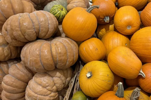 Не только каша: какие блюда можно приготовить из тыквы - Новости Уфы и Башкирии – UfacityNews.ru, 02.11.2025