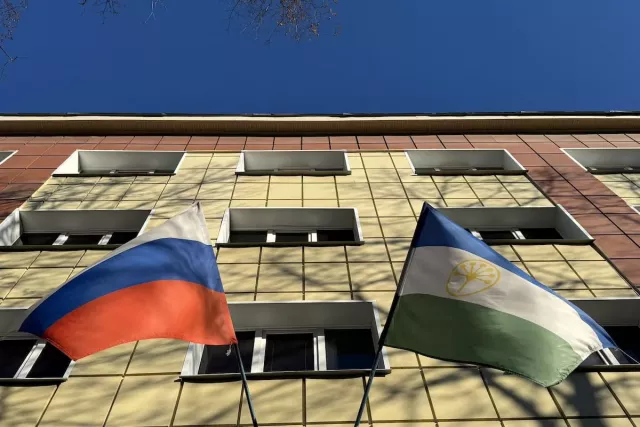 Новый порядок взыскания налогов и лимит на сим-карты: что изменится в ноябре - Новости Уфы и Башкирии – UfacityNews.ru, 03.11.2025