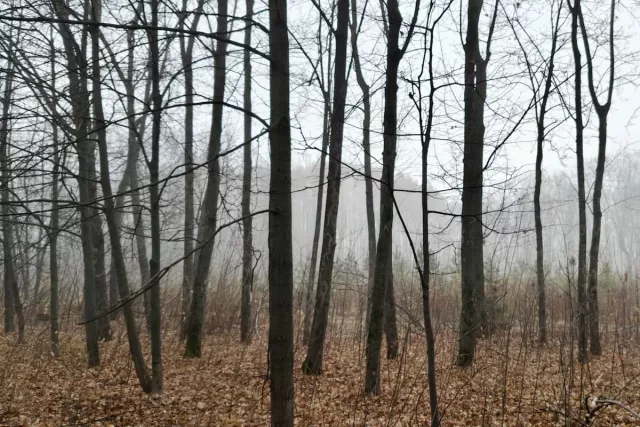 Спасатели эвакуировали семью с детьми у водопада в Башкирии - Новости Уфы и Башкирии – UfacityNews.ru, 03.11.2025