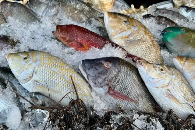 Каким опасным заболеванием можно заразиться от речной рыбы? - Новости Уфы и Башкирии – UfacityNews.ru, 03.11.2025