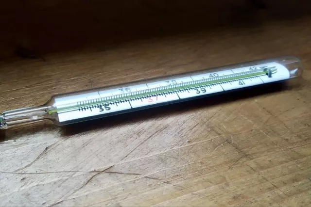 Врач объяснил, чего нельзя делать при ОРВИ - Новости Уфы и Башкирии – UfacityNews.ru, 24.03.2026