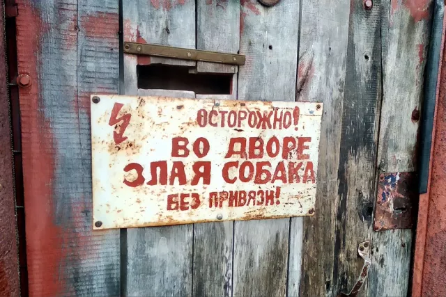Депутаты из Башкирии хотят выделить потенциально опасные породы собак - SterlitamakTime.ru - главные новости Стерлитамака, 19.09.2025
