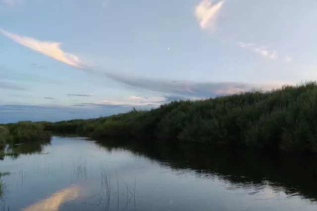 В Башкирии два живописных участка у реки Белой сдадут в аренду под туризм - SterlitamakTime.ru - главные новости Стерлитамака, 19.11.2025