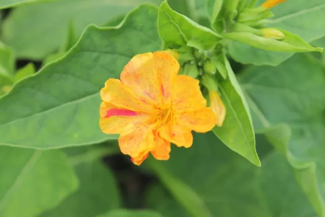 Американский ученый объяснил, что происходит с душой после смерти - SterlitamakTime.ru - главные новости Стерлитамака, 20.02.2026