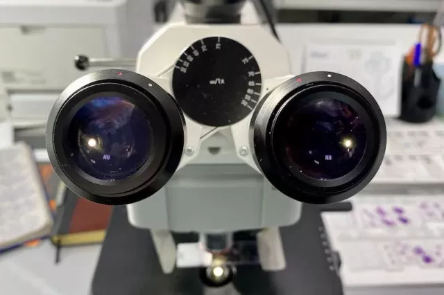 Новый метод лечения Альцгеймера показал результат - SterlitamakTime.ru - главные новости Стерлитамака, 14.04.2026