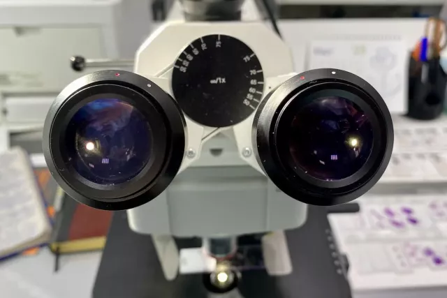 Nature: тестостерон подавляет рост смертоносной опухоли мозга - SterlitamakTime.ru - главные новости Стерлитамака, 07.05.2026