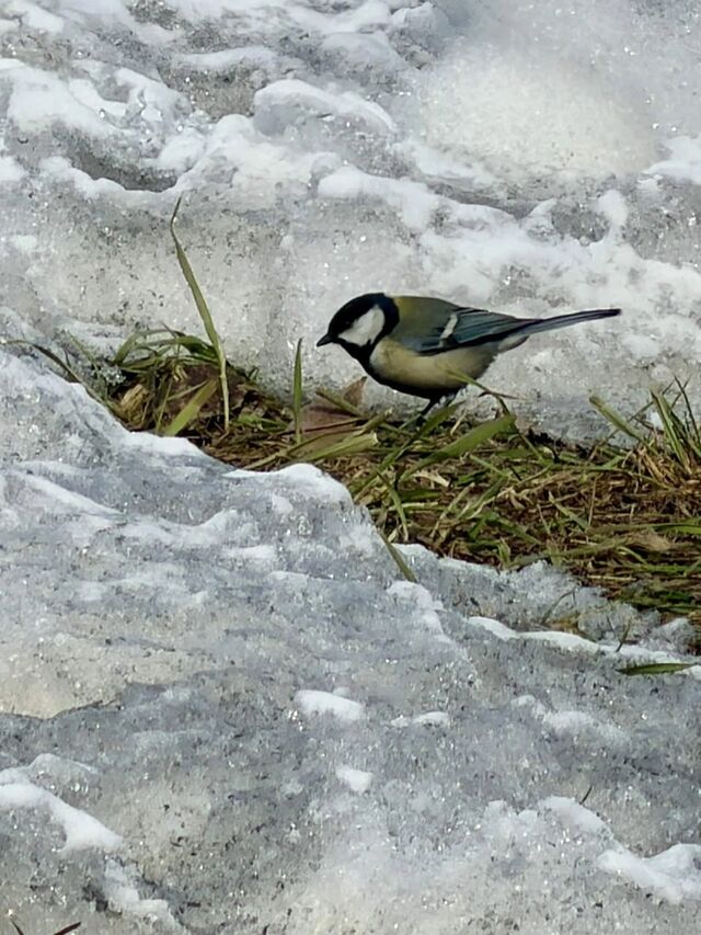 Погода в Хабаровском крае - Губерния l Хабаровск, 26.03.2026