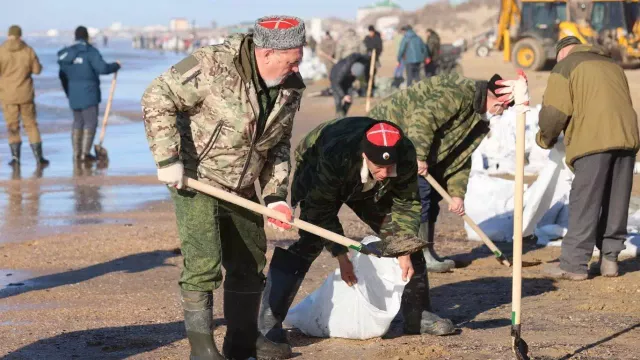 С пляжей Кубани собрали не менее 12 тыс тонн мазута и спасли более 700 птиц - kubanpress.ru, 22.12.2024