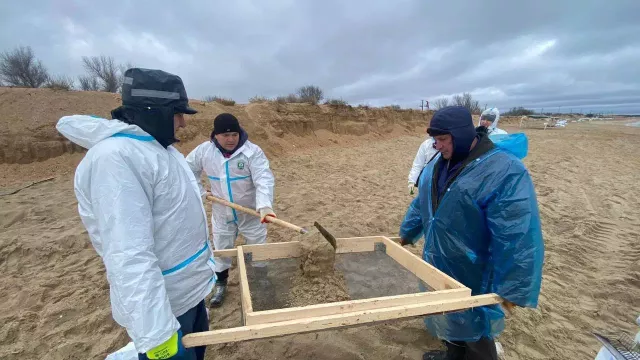 С загрязненных пляжей Кубани вывезли более 161 тысячи тонн песка - kubanpress.ru, 14.01.2025