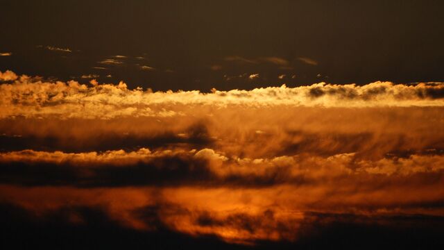 Картина дня в Приморье: погодный удар, дорога в Азию и зов потеряшек - Восток-Медиа | Новости Приморья и Владивостока, 21.03.2026