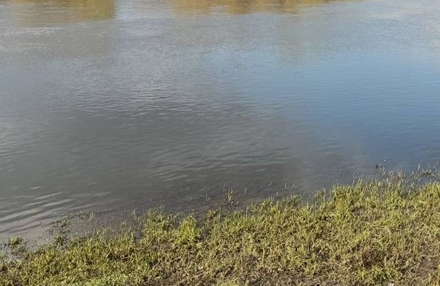 16-летняя девушка погибла на глазах у матери в Воронежской области - 36ON Воронеж|Новости, 29.07.2026