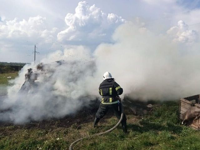 В Новохоперском районе пламя уничтожило почти тонну сена В Новохоперском районе пламя уничтожило почти тонну сена - Воронежские новости, 16.08.2026