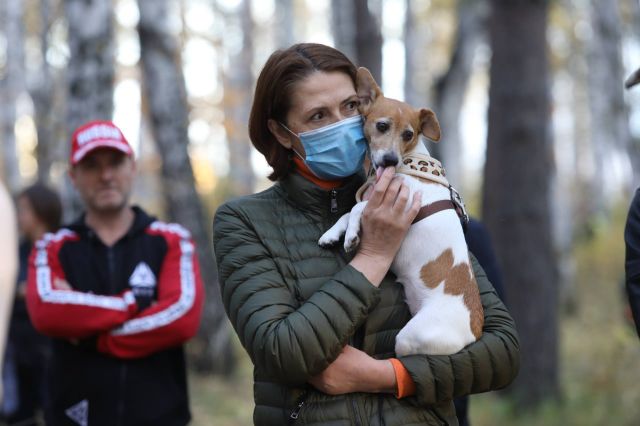 В Свердловской области из-за бракованной вакцины погибли восемь собак В Свердловской области из-за бракованной вакцины погибли восемь собак - It's My City, 27.08.2026