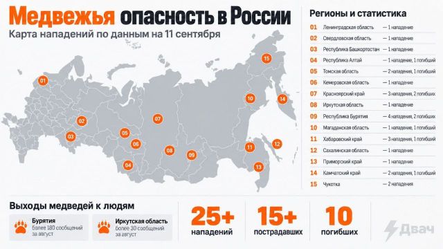 Рекордное за последние годы нашествие медведей-людоедов зафиксировано в России — с начала лета произошло не менее 25 нападений хищников, 10 человек погибли - Инцидент Барнаул, 12.09.2026