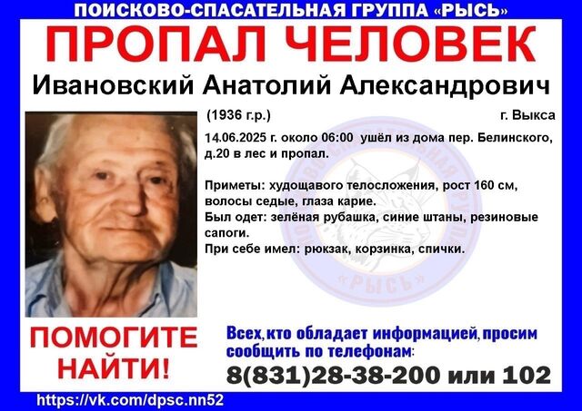 89-летний мужчина потерялся в лесу в Выксе - Нижегородская правда, 16.06.2025