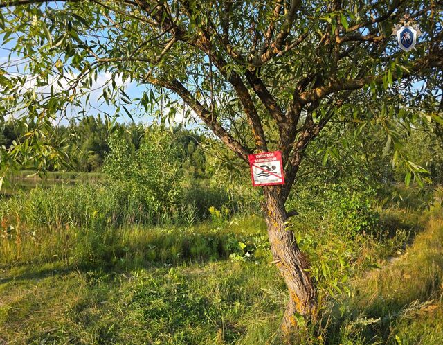 Тело утонувшего 8‑летнего ребёнка достали из пруда в Вознесенском округе - Нижегородская правда, 30.07.2025