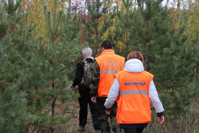 В июле в Нижегородской области пропали 146 человек - Нижегородская правда, 06.08.2025
