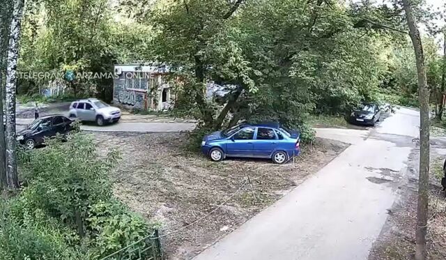 Водитель авто переехал сидящую на обочине собаку в Арзамасе - Нижегородская правда, 27.08.2025