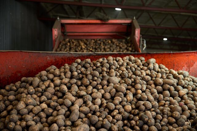 Агроагрегатор: от поля до тарелки - Нижегородская правда, 17.03.2026