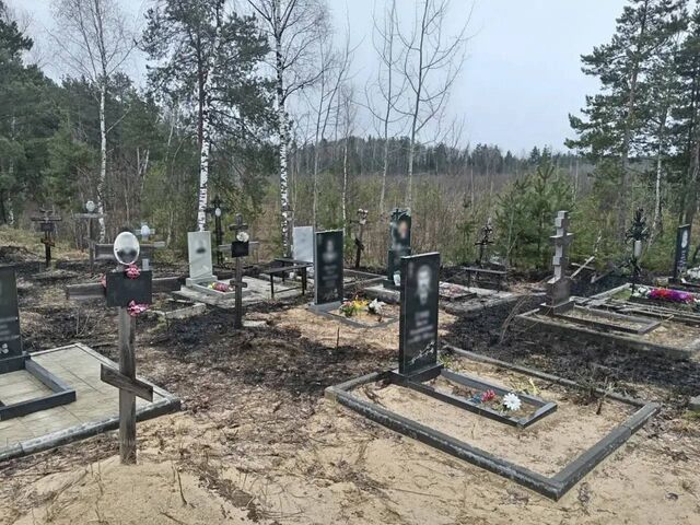 Нижегородское кладбище пострадало после поджога травы - Нижегородская правда, 20.04.2026