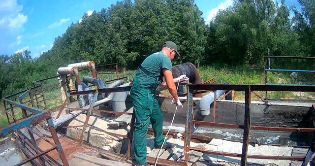 1,2 млн рублей взыскали с богородского предприятия за загрязнение реки Рязанка - Нижегородская правда, 20.04.2026