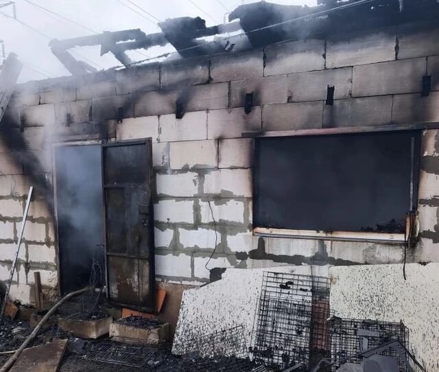 Прокуратура выясняет обстоятельства пожара, в котором погибли 200 собак - Нижегородская правда, 29.04.2026